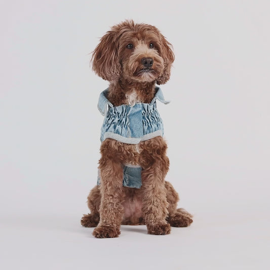 GF PET denim dog coat – classic dog jean jacket style for dogs