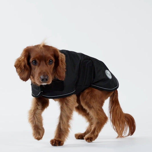 Dog Winter Blanket Jacket - Black
