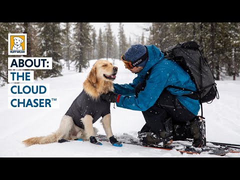 Cloud Chaser Waterproof Dog Coat