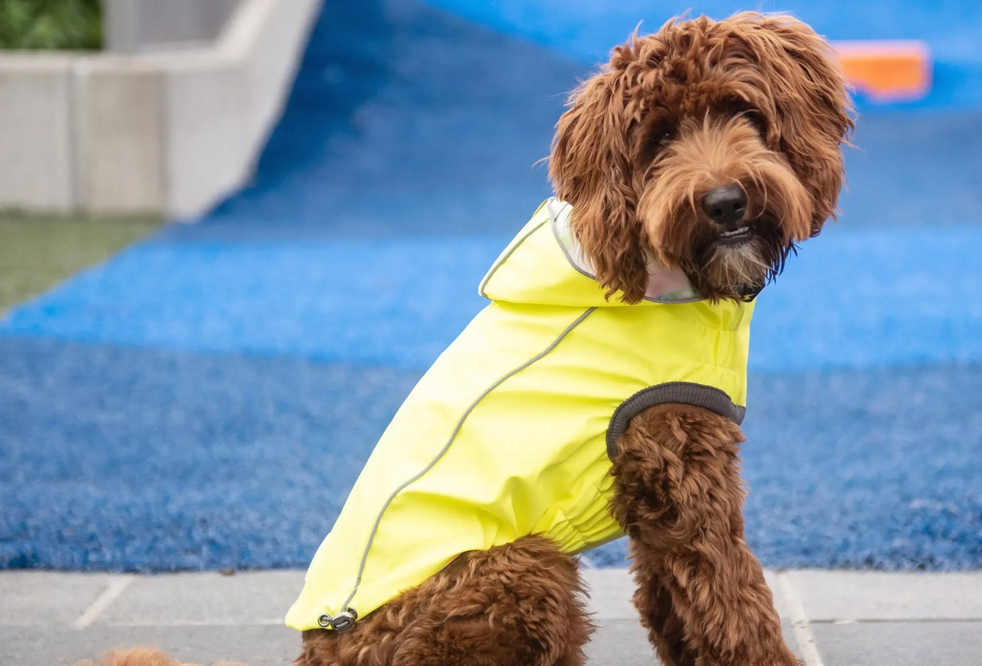 dog raincoats with hood and elastofit stretch fit tech