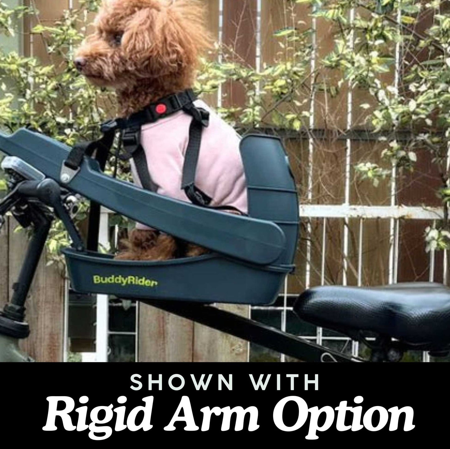 2026 Buddyrider® Series 2 Dog Bicycle Seat