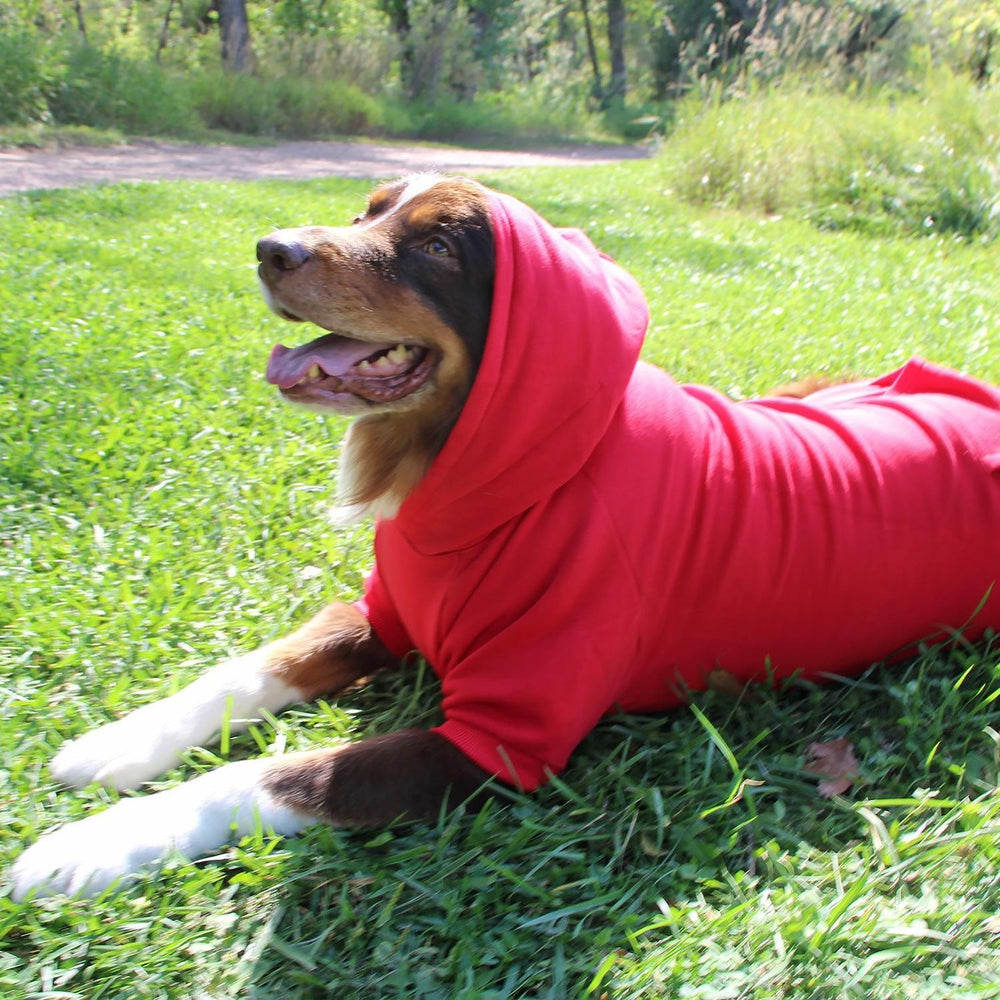 dog hoodie happy customer dog with hoodie up