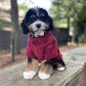 Plush Sherpa Dog Pullover Sweater | Fuzzy Soft Teddy Bear Fleece for Small to Large Dogs