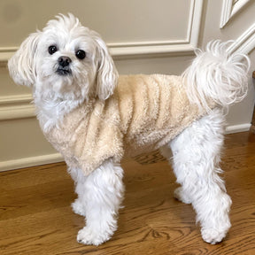 Plush Sherpa Dog Pullover Sweater | Fuzzy Soft Teddy Bear Fleece for Small to Large Dogs