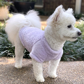 Plush Sherpa Dog Pullover Sweater | Fuzzy Soft Teddy Bear Fleece for Small to Large Dogs