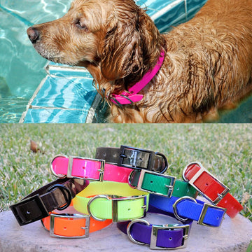 Sunglo Waterproof Dog Collars No Stink Waterproof Dog Collars