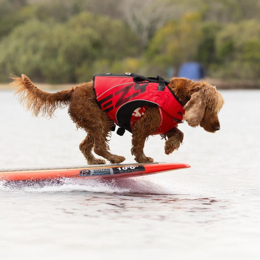 DFD X2 Boost Dog Life Vest – The Dog Outdoors