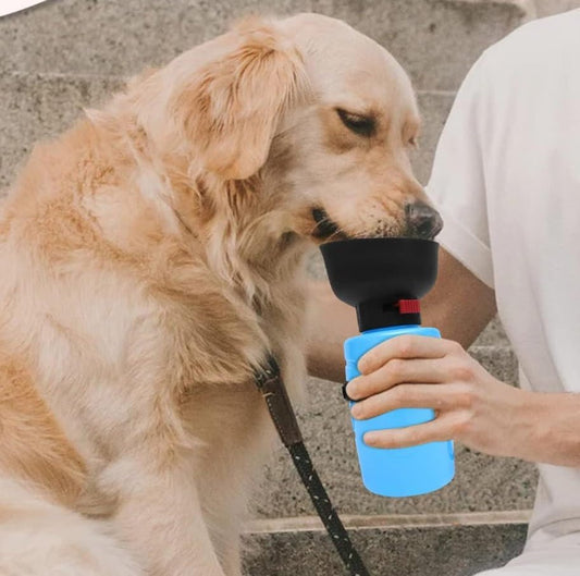 Portable Dog Water Bottles For Travel and Hikes