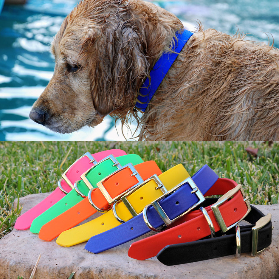 Shiny Dog Collars With Insulated Waterproof Straps photo