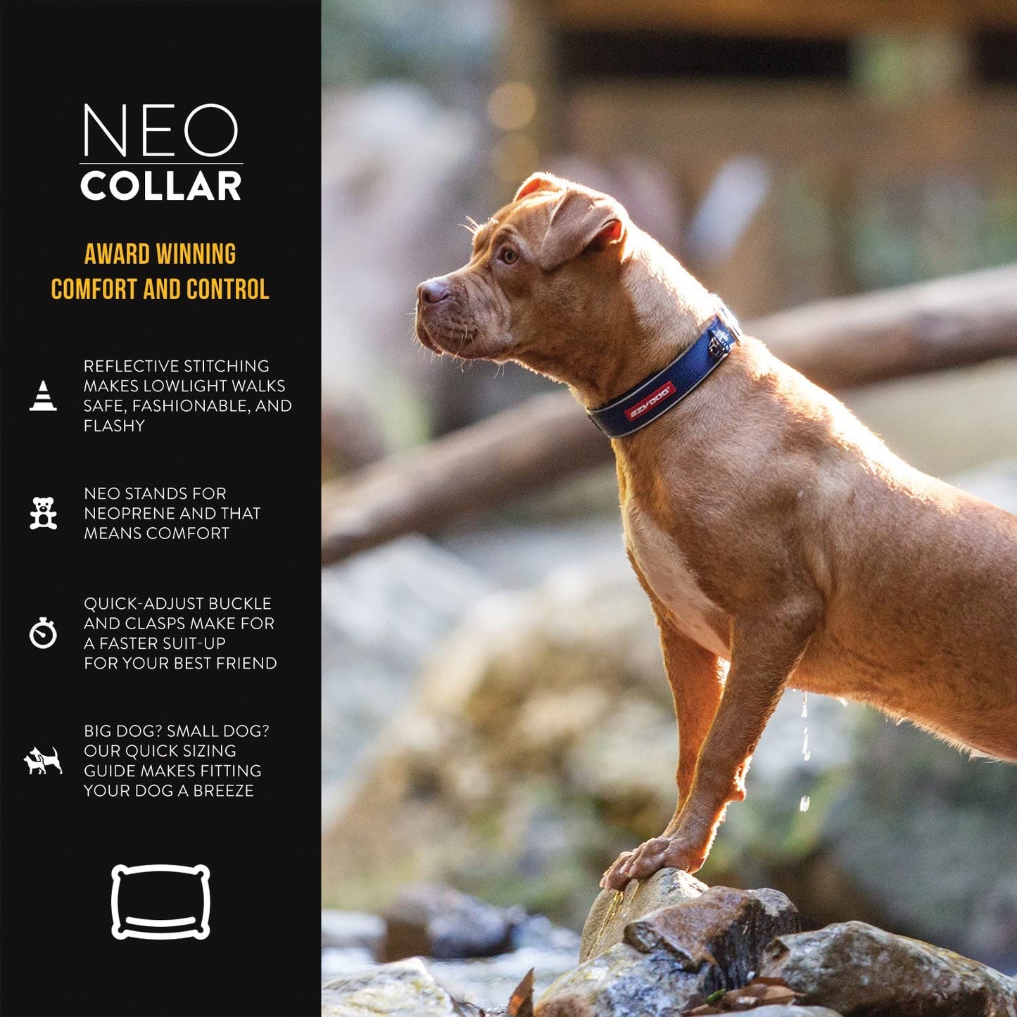 Ezydog Neo Collar | Neoprene Dog Collars