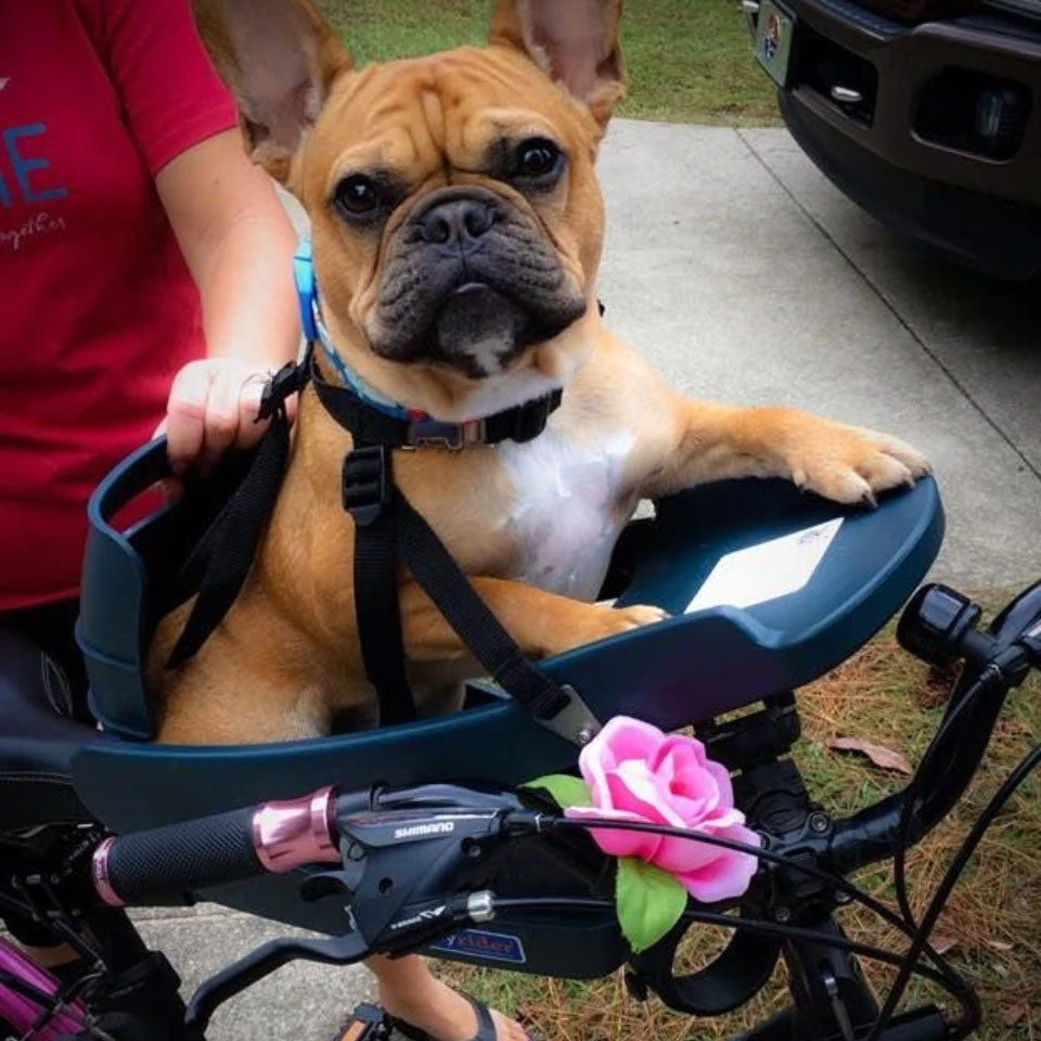 2023 Buddyrider Dog Bicycle Seat With Upgraded Harness