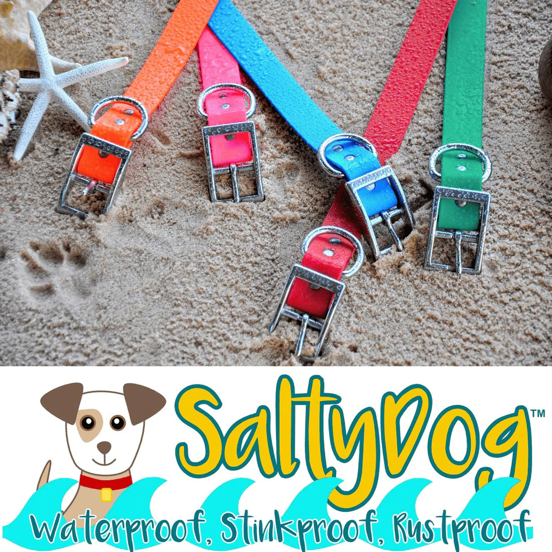 SaltyDog Saltwater Proof Stainless Steel Dog Collars