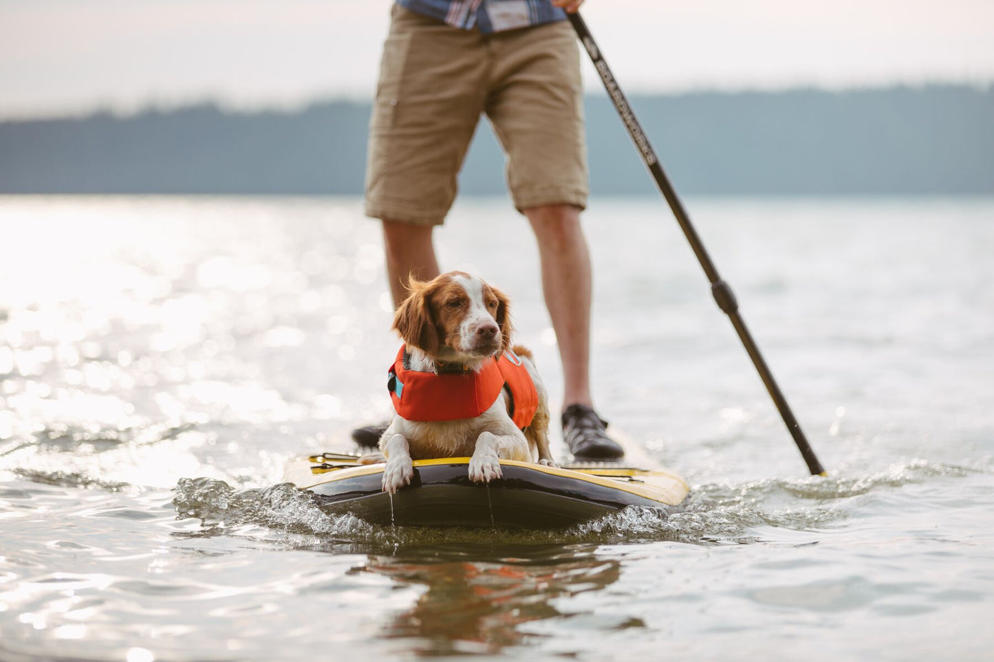 Float Coat Dog Life Vest