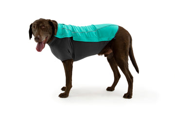 Cloud Chaser Waterproof Dog Coat – The Dog Outdoors