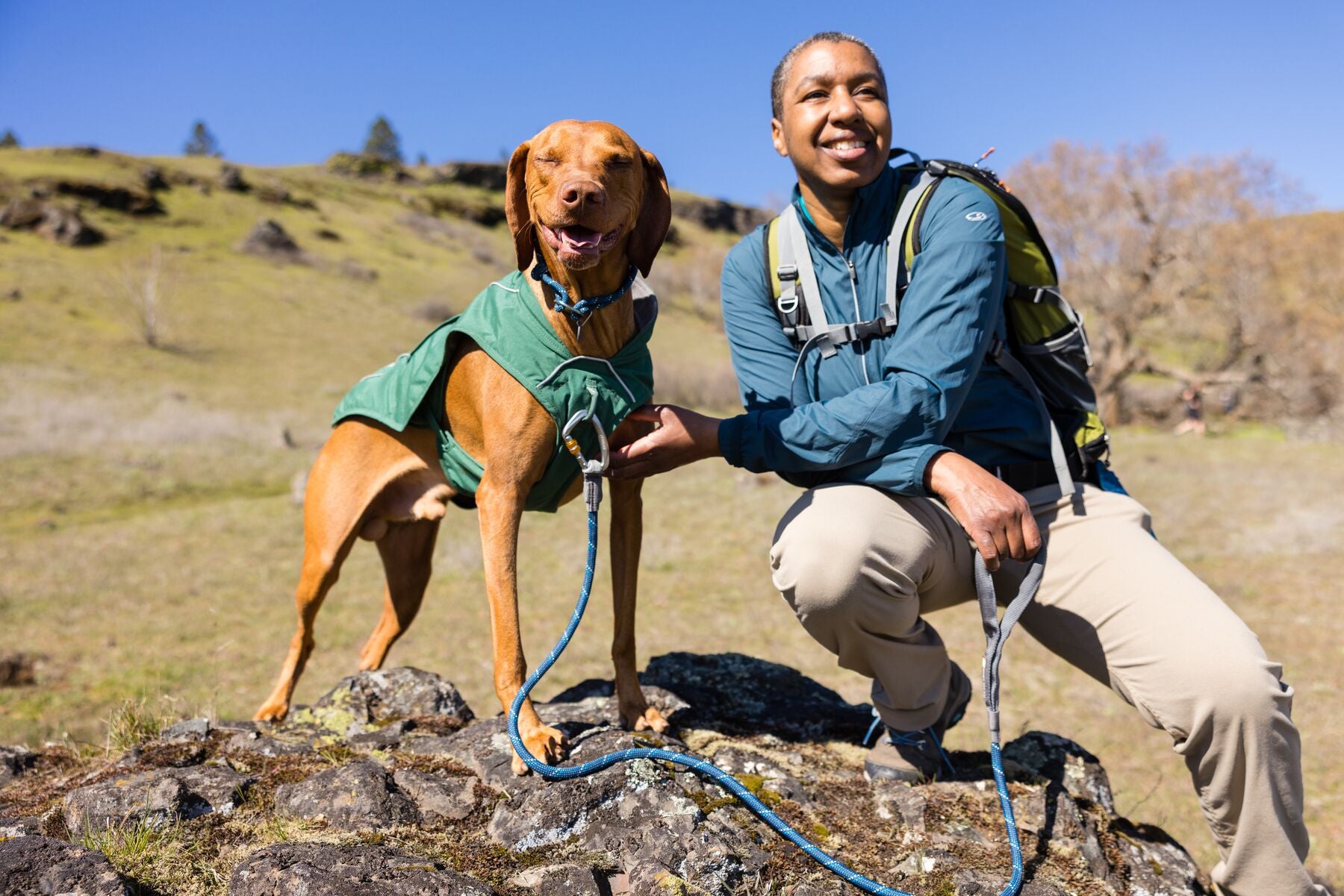 Best Dog Jacket with Built-In Harness: The Overcoat Fuse™ – The Dog ...