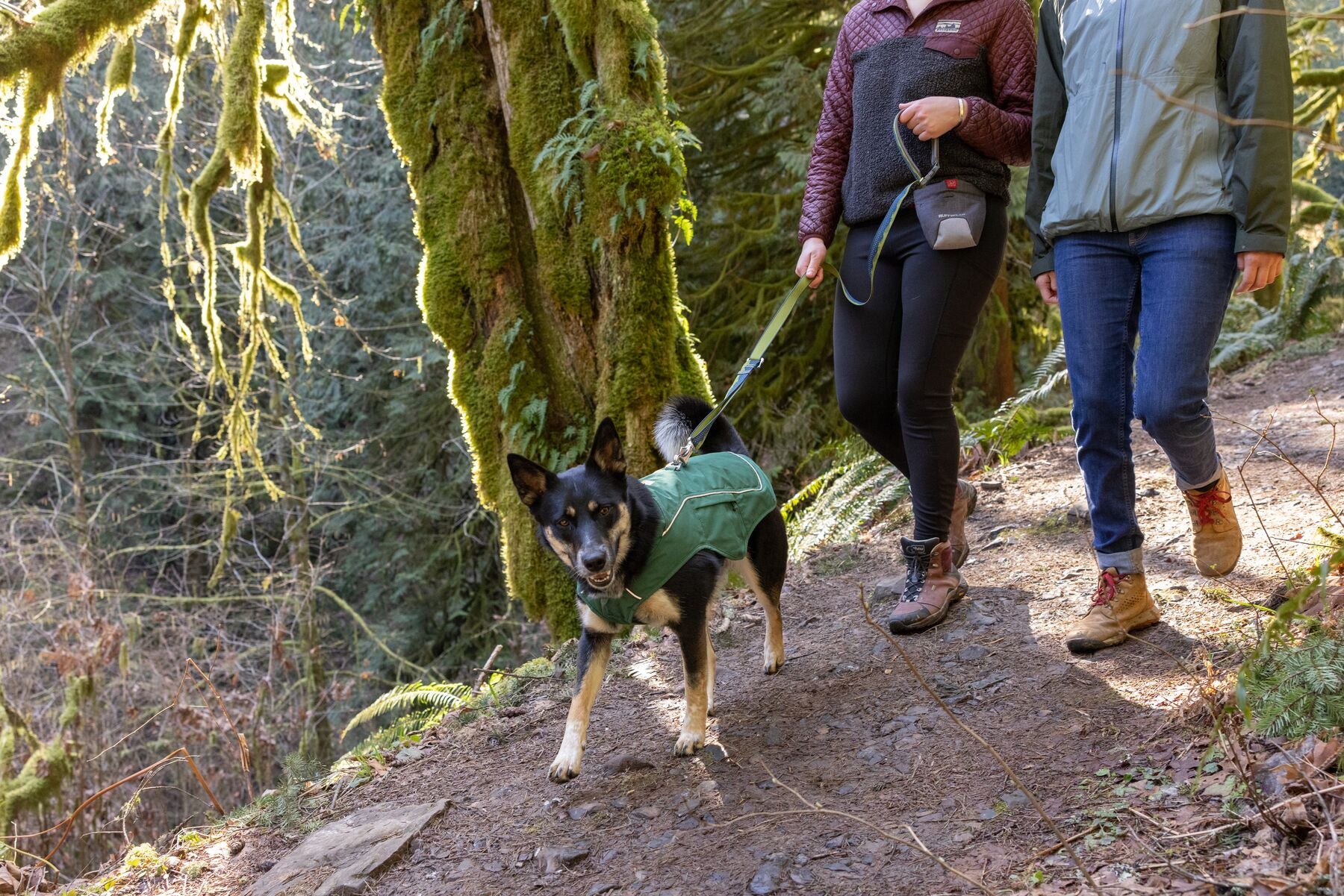 Best Dog Jacket with Built-In Harness: The Overcoat Fuse™ – The Dog ...