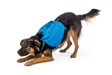 Ruffwear Approach Pack – The Dog Outdoors