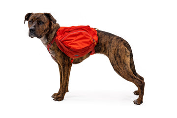Ruffwear Palisades Pack – The Dog Outdoors