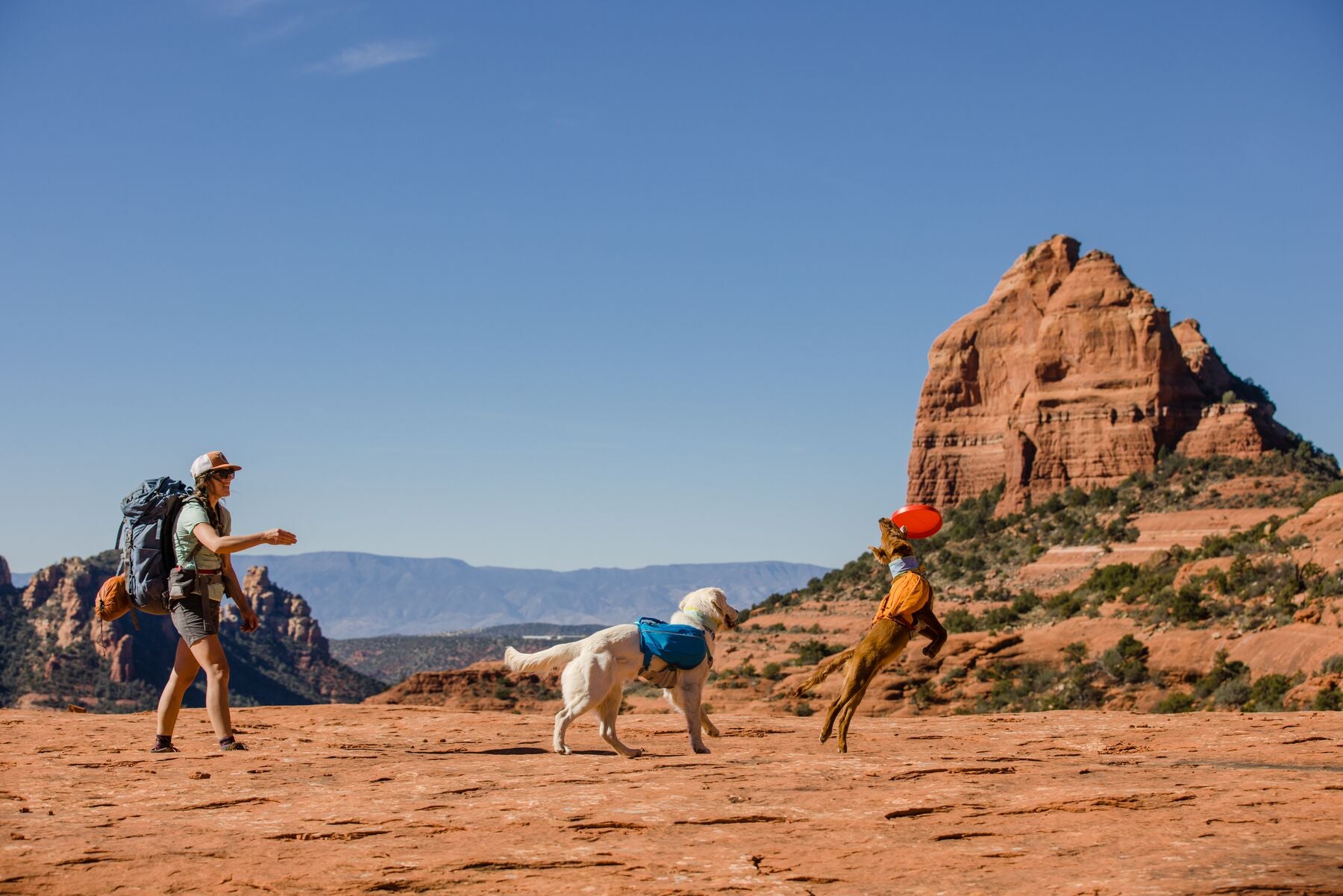 Ruffwear Approach Pack – The Dog Outdoors