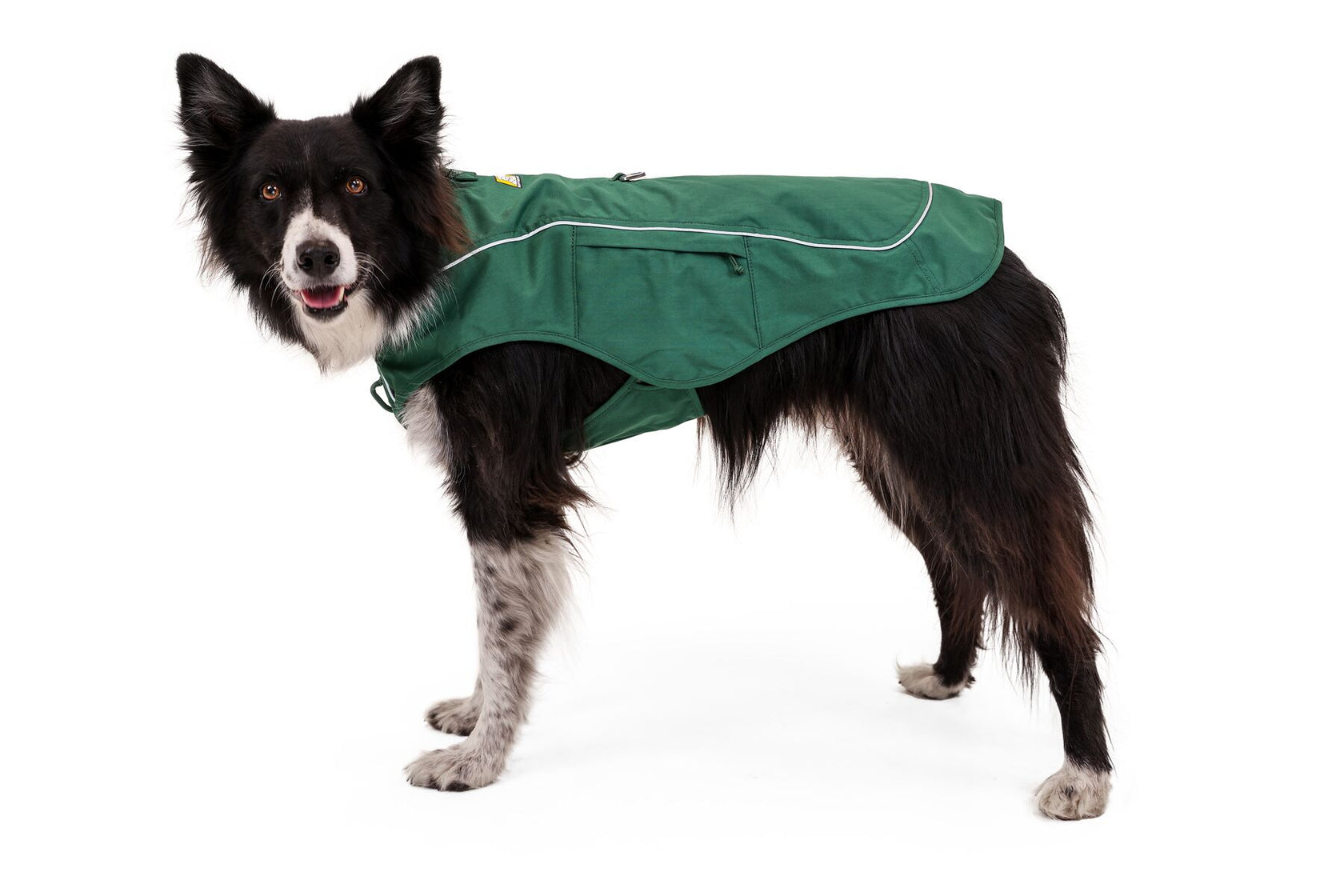 Best Dog Jacket with Built-In Harness: The Overcoat Fuse™ – The Dog ...