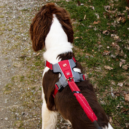 Ezydog X-Link Padded Dog Control Harness