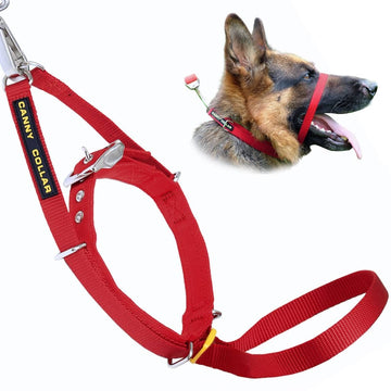 Dog Harness Dog Leash Pulling Problems Canny Collar No Pull Dog