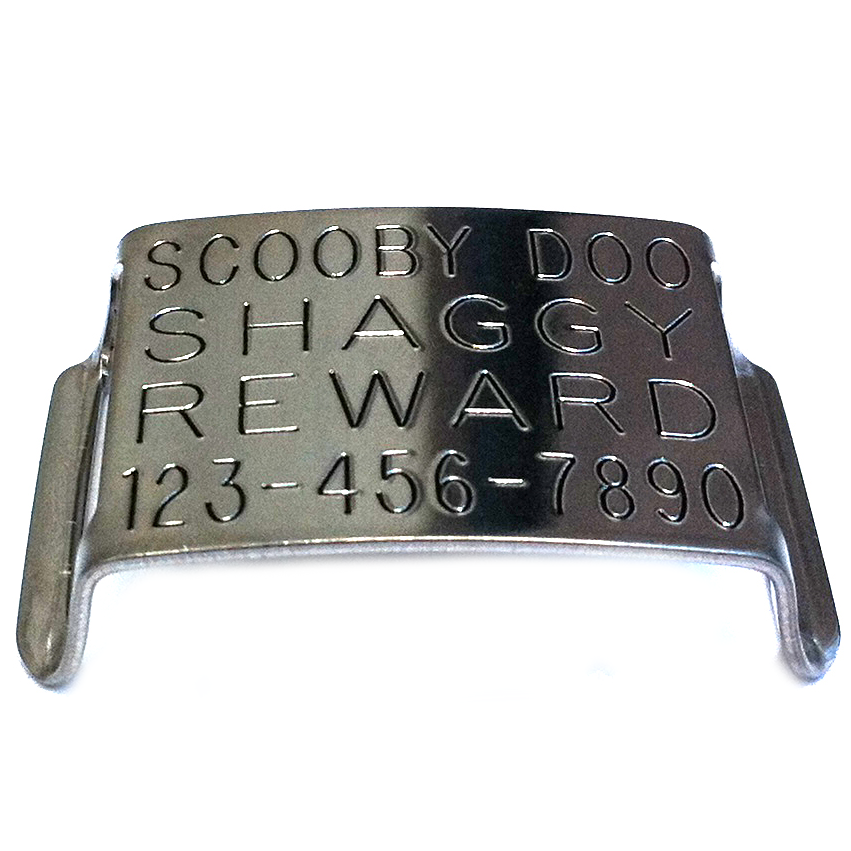 Boomerang Double-Thick Slide On Dog CollarTag™ - Stainless Steel