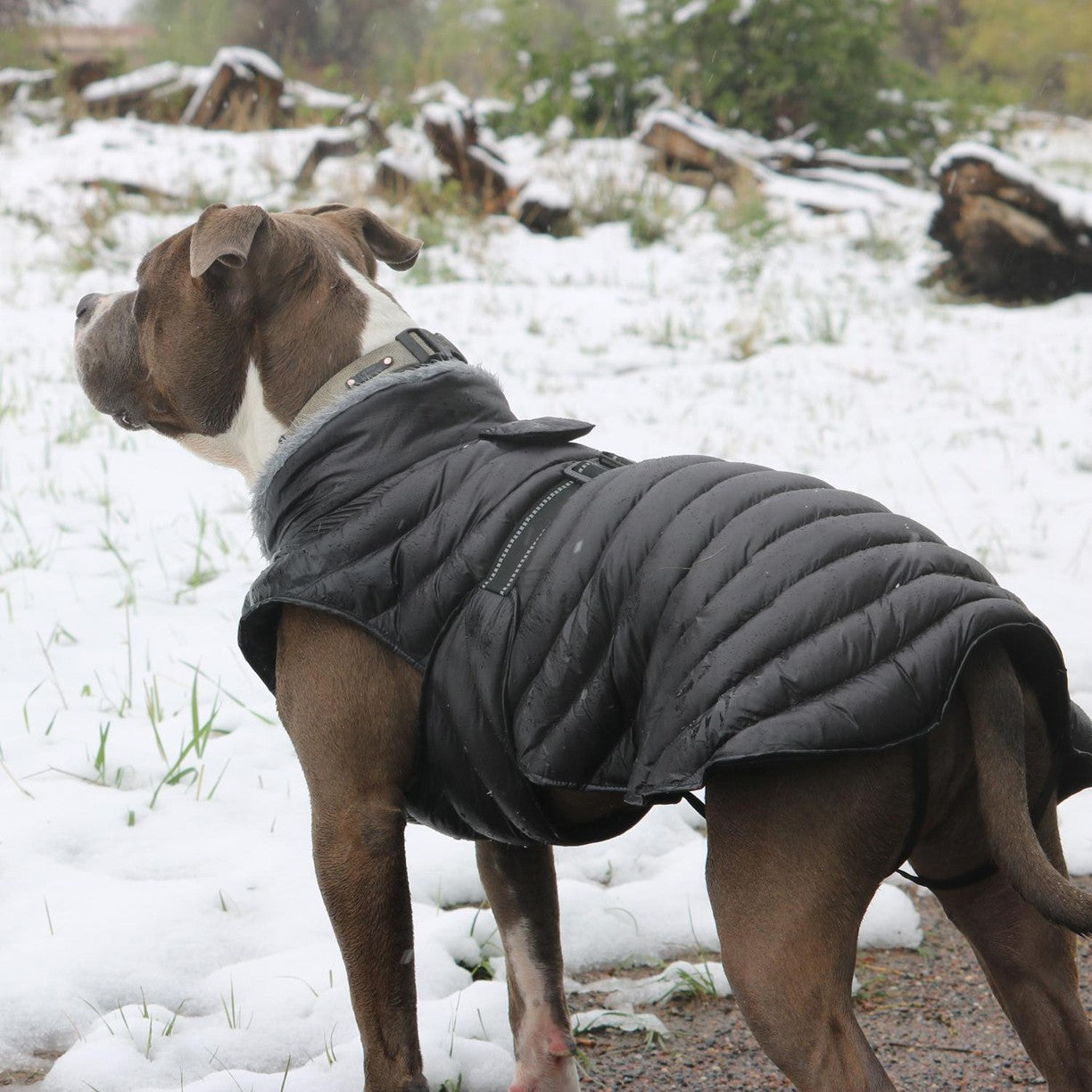 Alpine Extreme Weather Puffer Coats