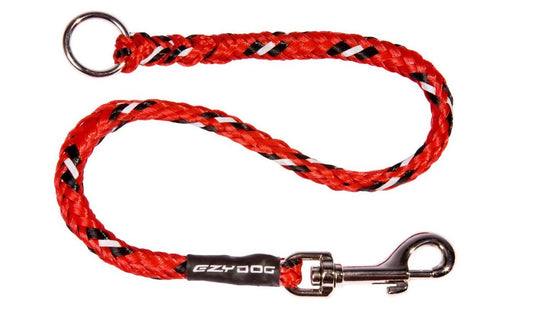 Red braided dog leash with black, white, and silver metal accents.