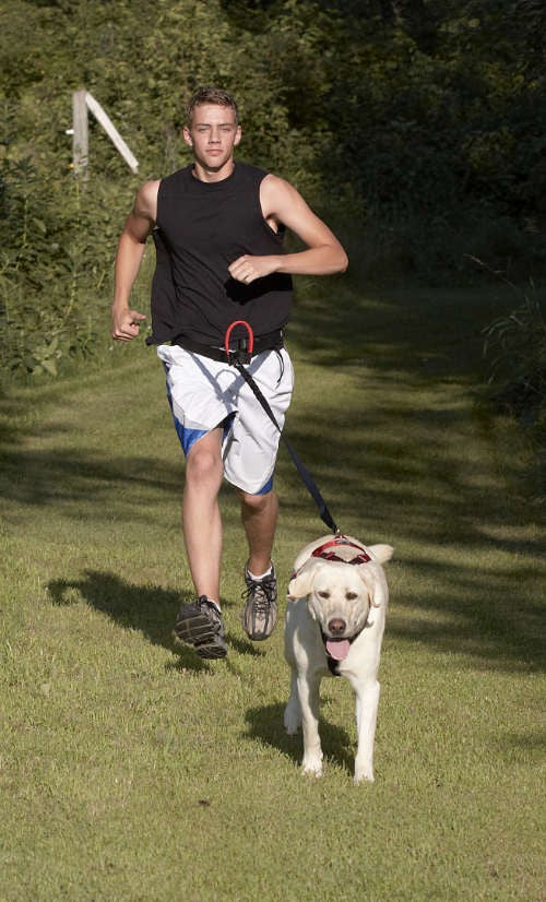 Ultra Paws Dog Skijor/Canicross/Jogging Belt