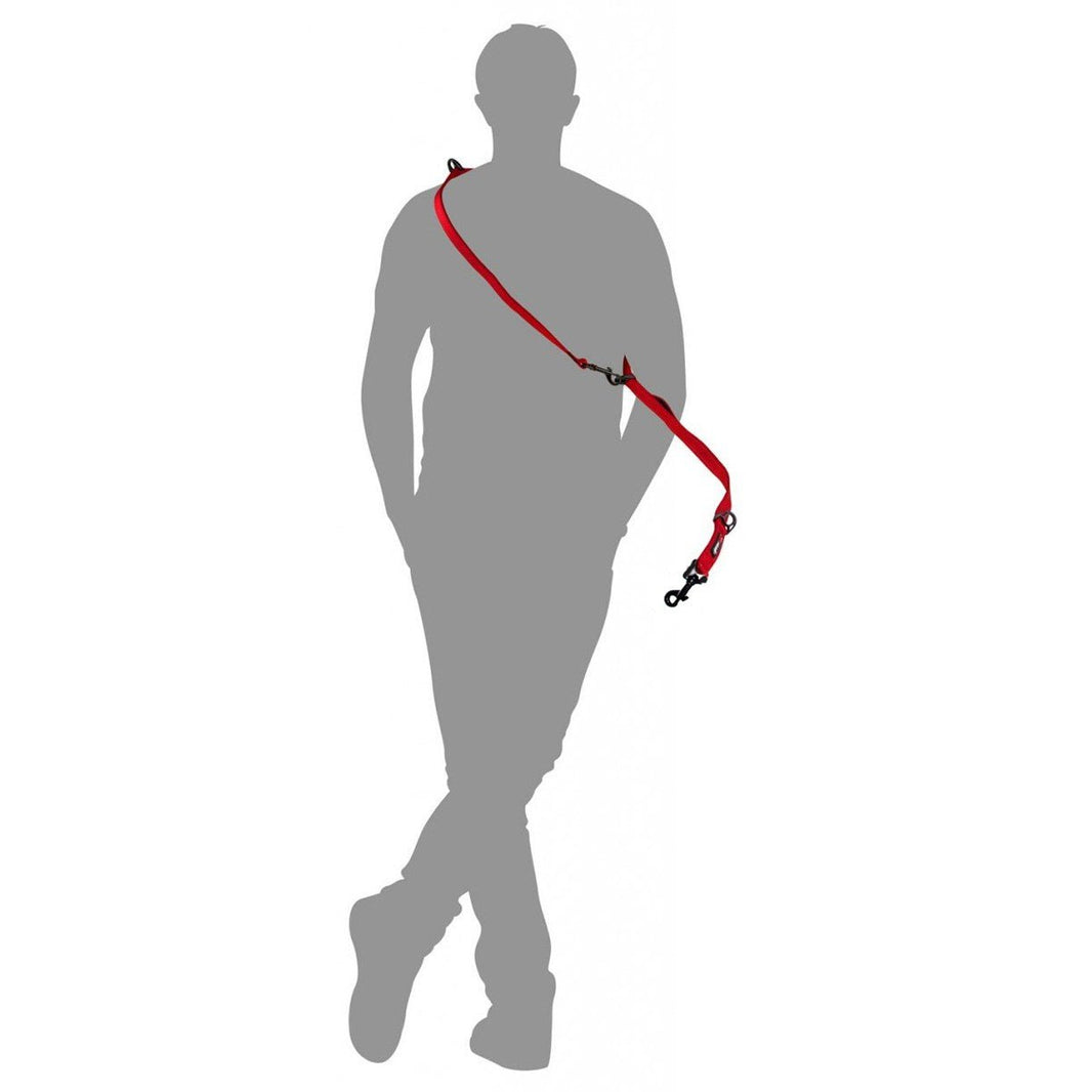 Dog Hiking Gear Dog Packs & Essential Gear For Hiking Adventures