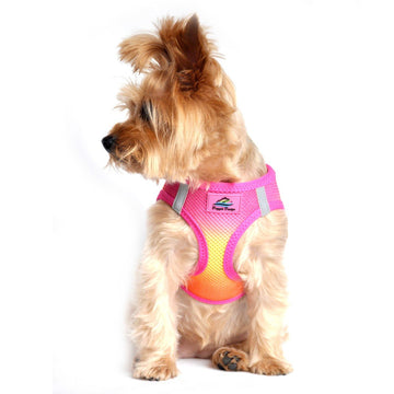 No-Pull Choke Free Dog Harnesses Breathable Mesh Dog Harnesses