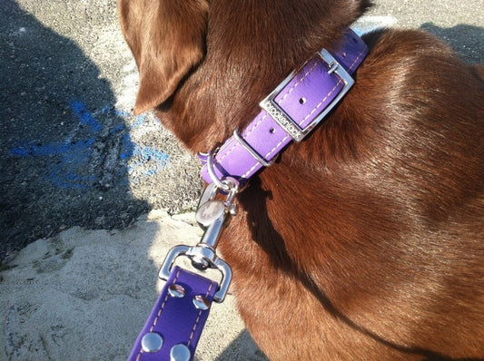 Brookenjack - Brookenjack Luxury Waterproof Dog Collars - Premium USA Biothane - Dog Collar -