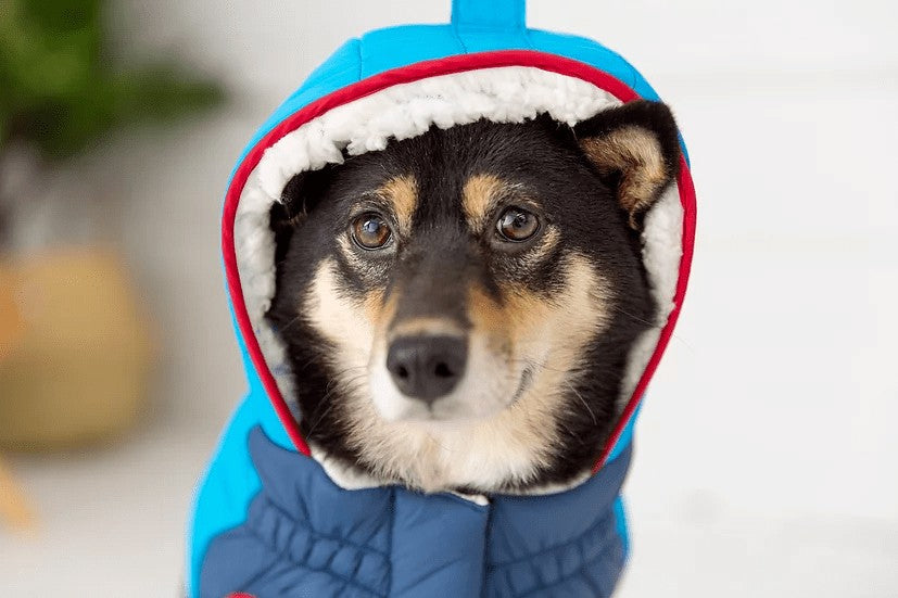 Trekking Parka - Sherpa Lined Water Resistant Dog Coat