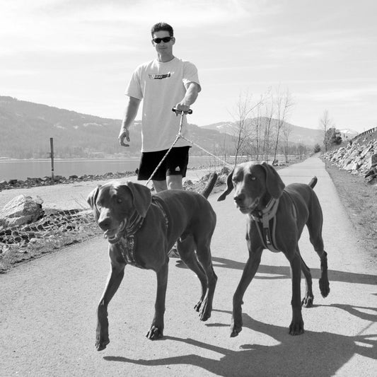A man wearing sunglasses walks two dogs on a path.