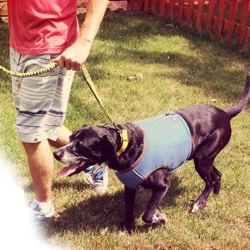 Hurtta Motivation Dog Cooling Vest