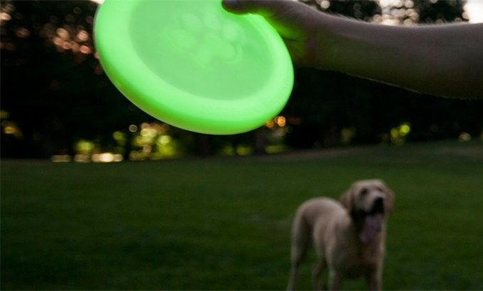 Zisc Dog Frisbee