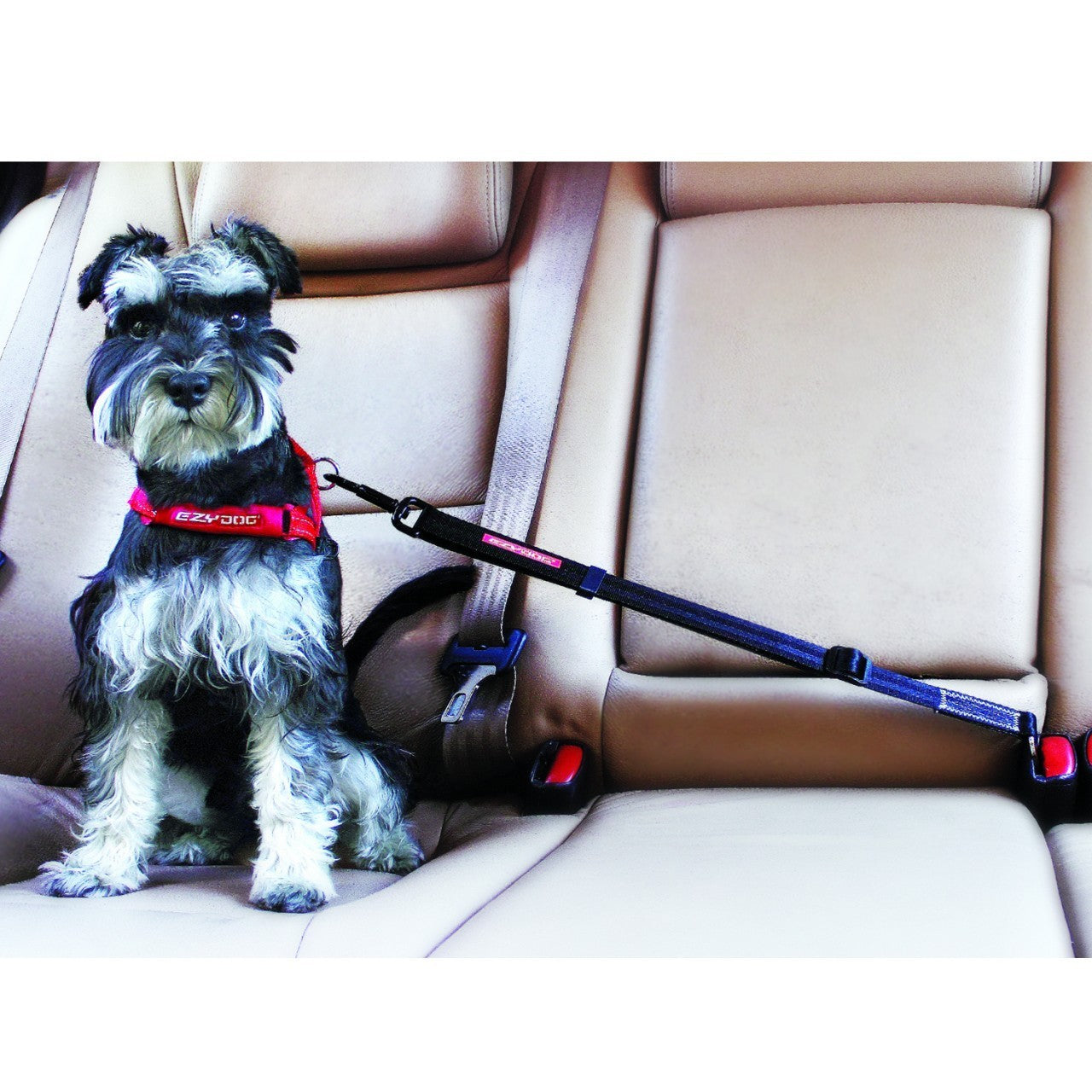 EzyDog Click Adjustable Dog Car Restraint