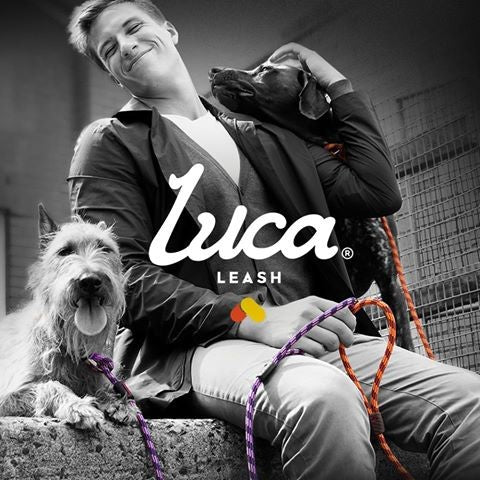 Luca Leash Collar & Leash Combo