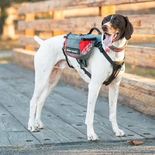 White dog with brown head and backpack on a wooden bridge.